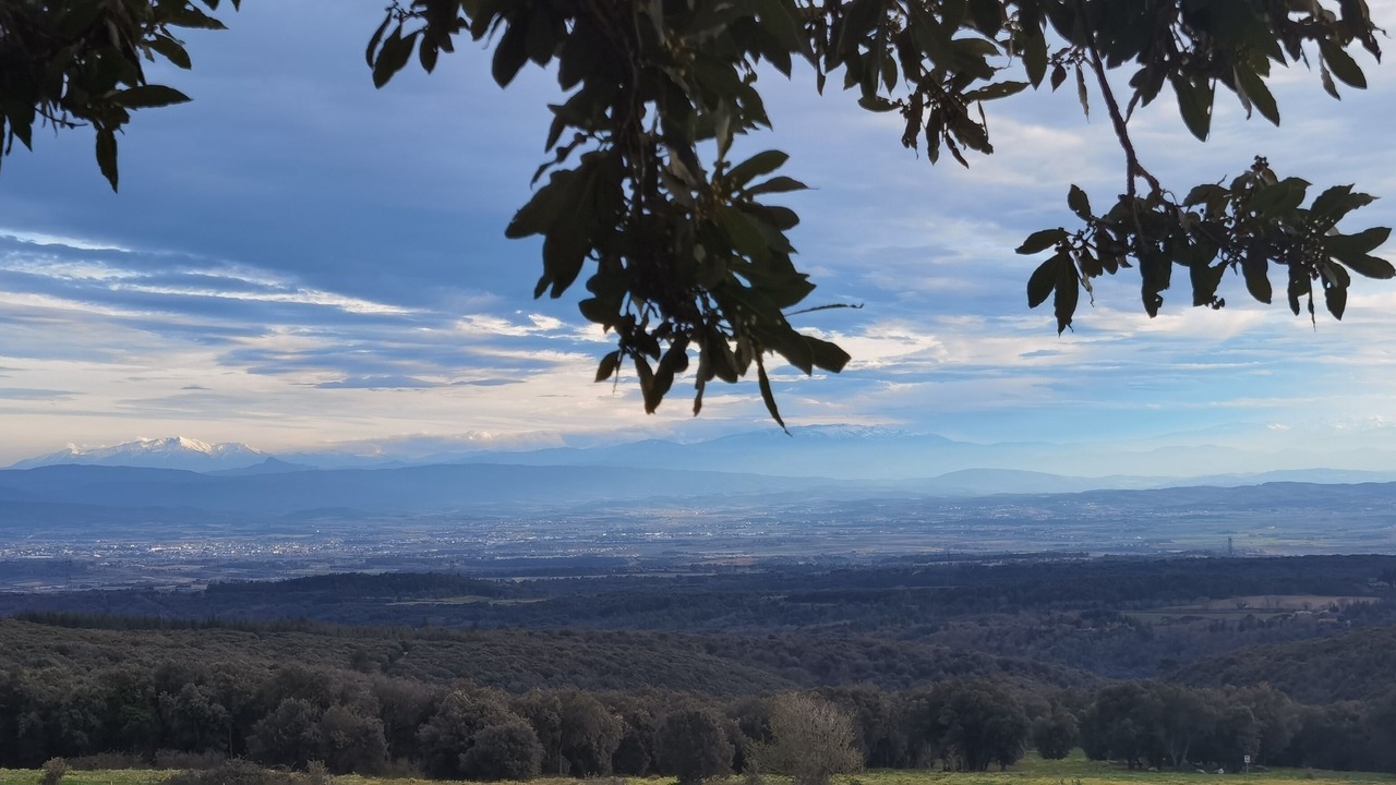 Photo of Others in Villardonnel