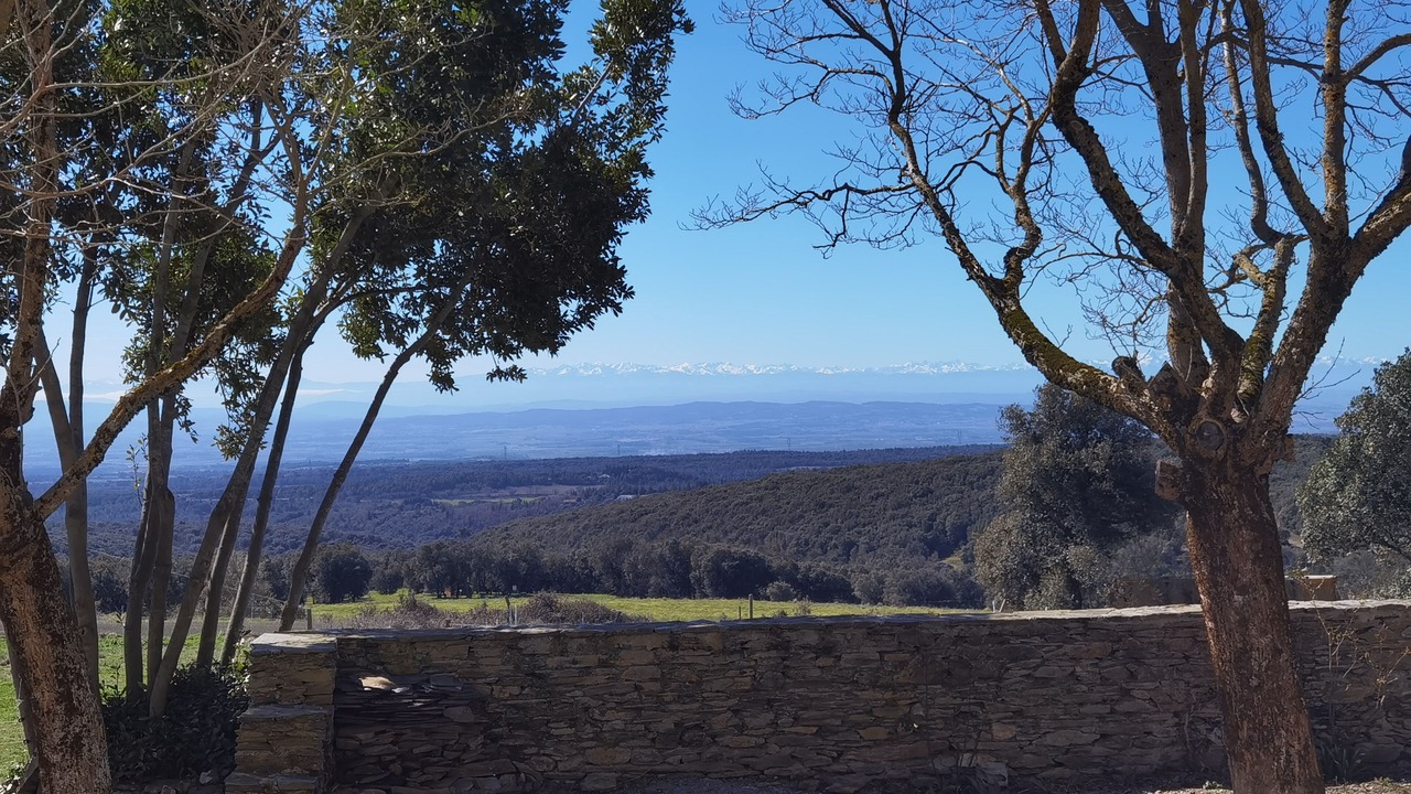 Photo of Others in Villardonnel