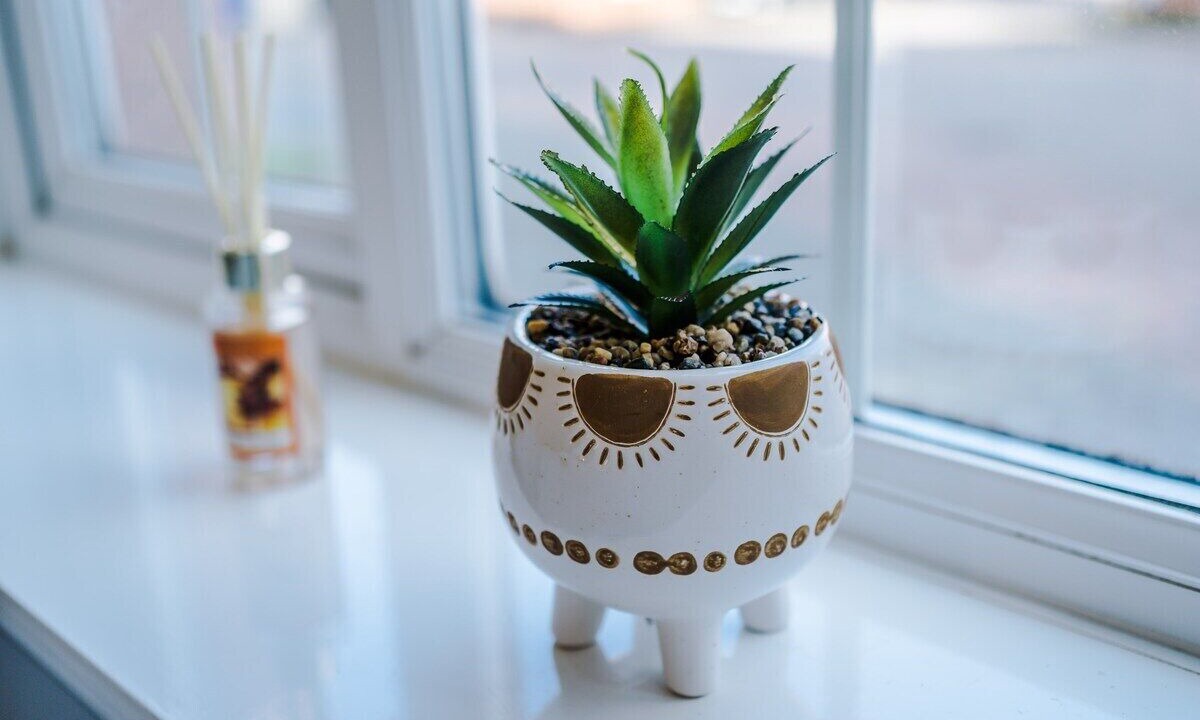 Photo of Others in Burton on Trent