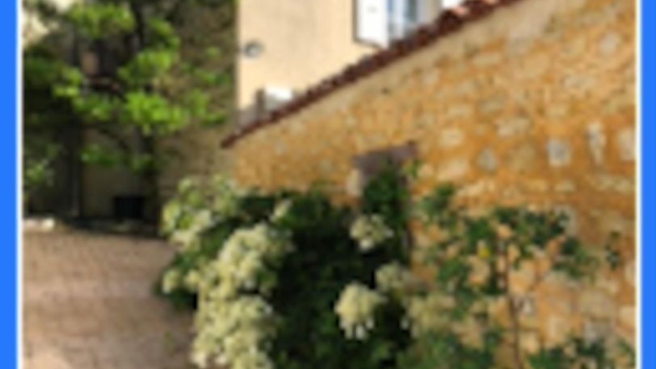 Photo of Outdoor in Pissotte