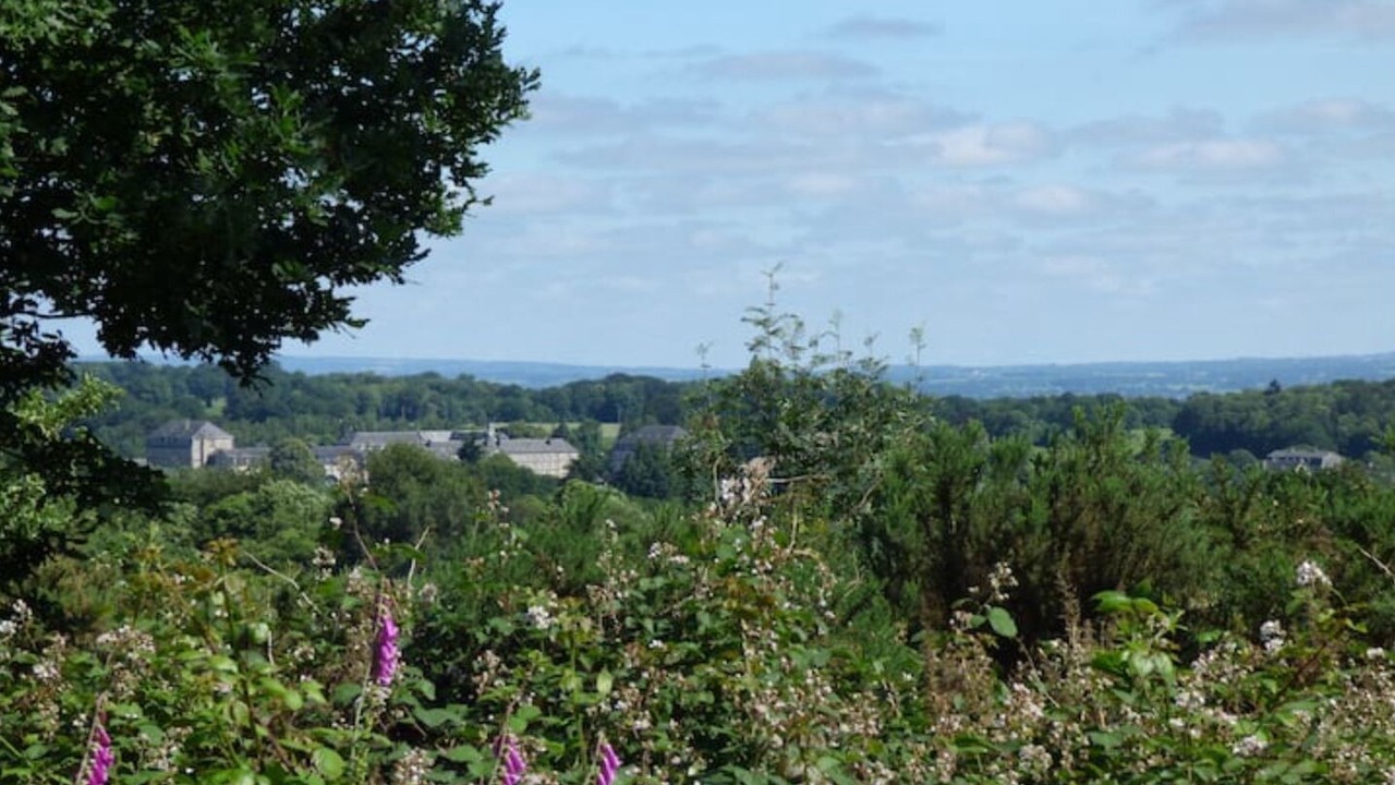 Photo of Others in Domfront en Poiraie