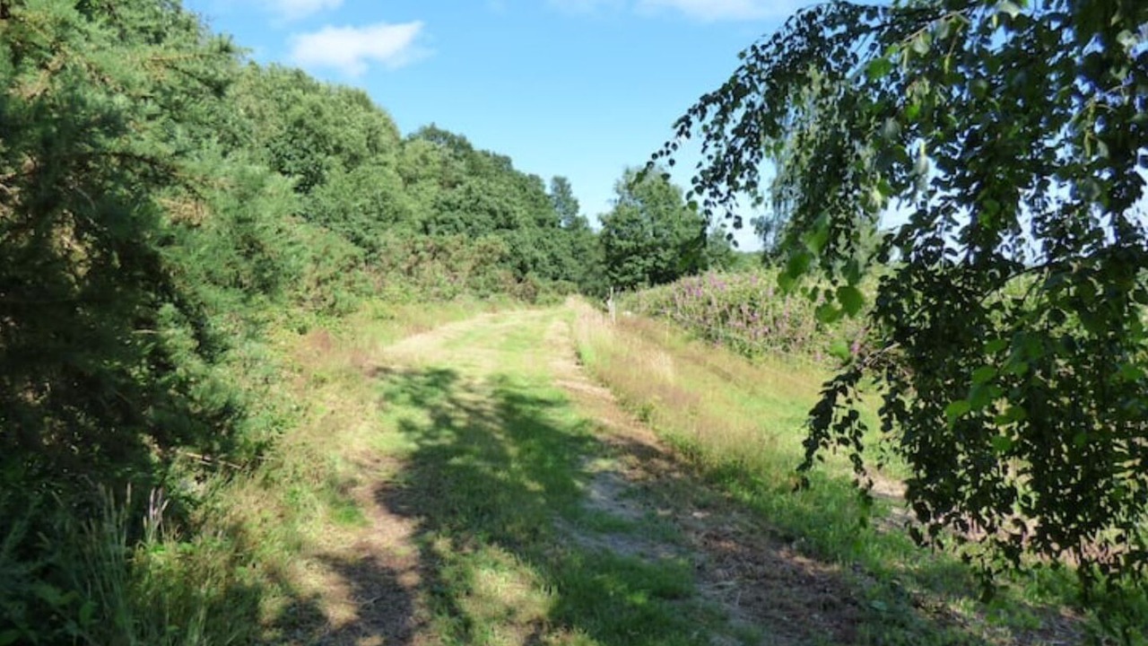 Photo of Others in Domfront en Poiraie