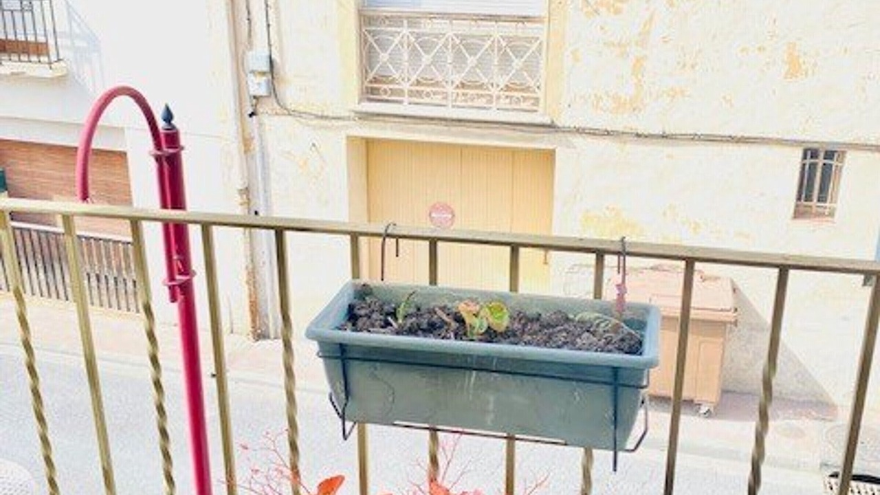 Photo of Outdoor in Amelie-les-Bains-Palalda