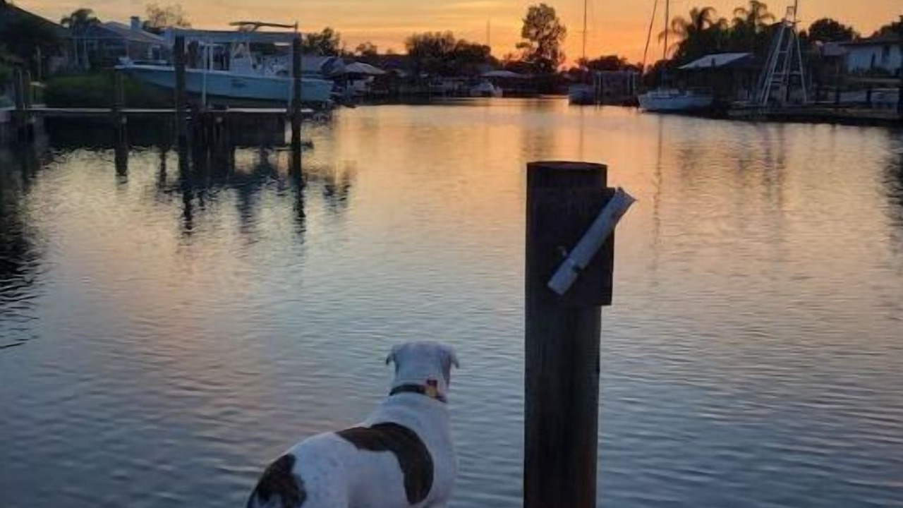 Photo of Others in Apollo Beach