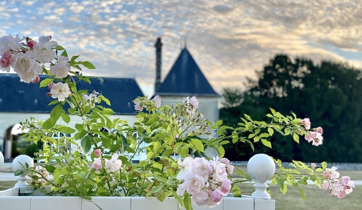 Photo of Outdoor in Ocquerre