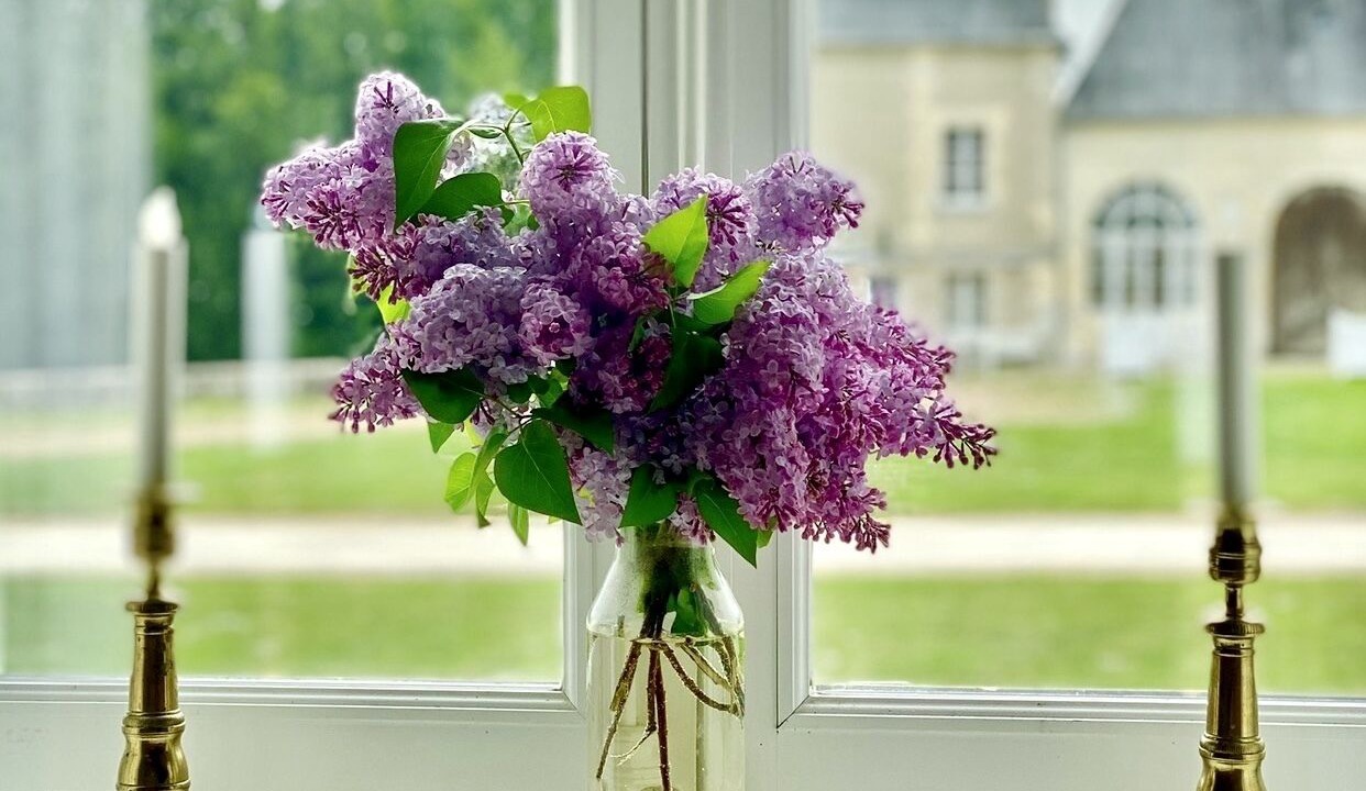 Photo of Others in Ocquerre