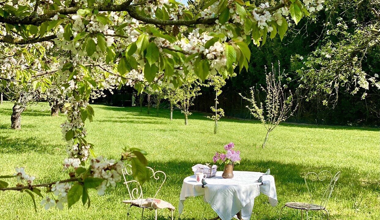 Photo of Outdoor in Ocquerre