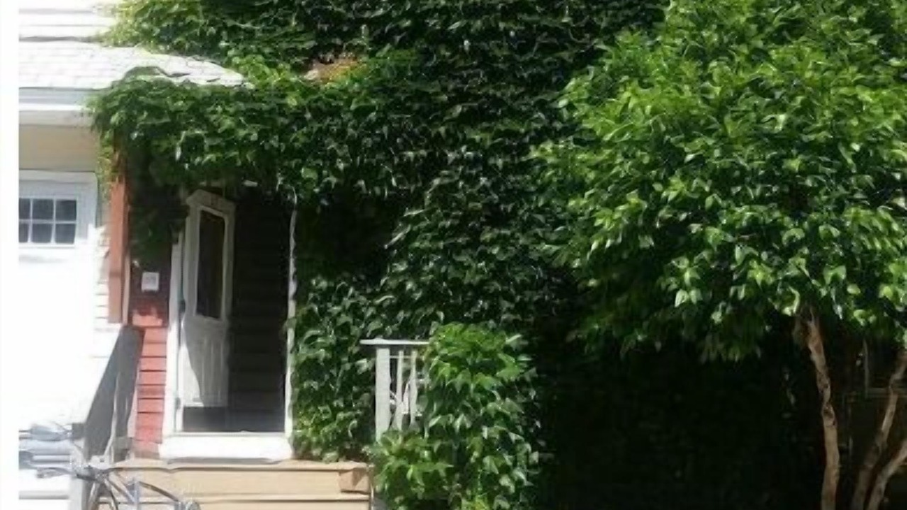 Photo of Outdoor in Allston