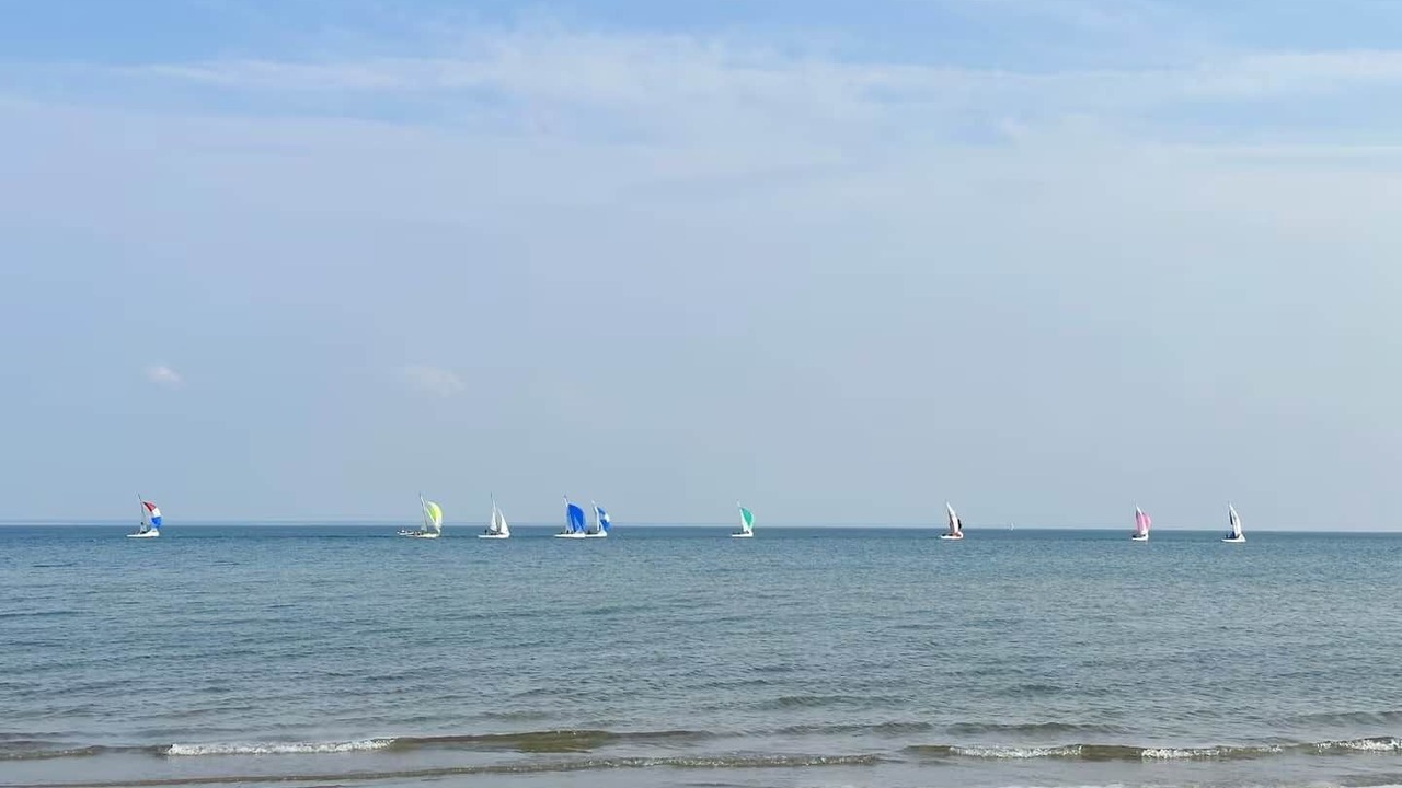 Photo of Others in Fort Erie