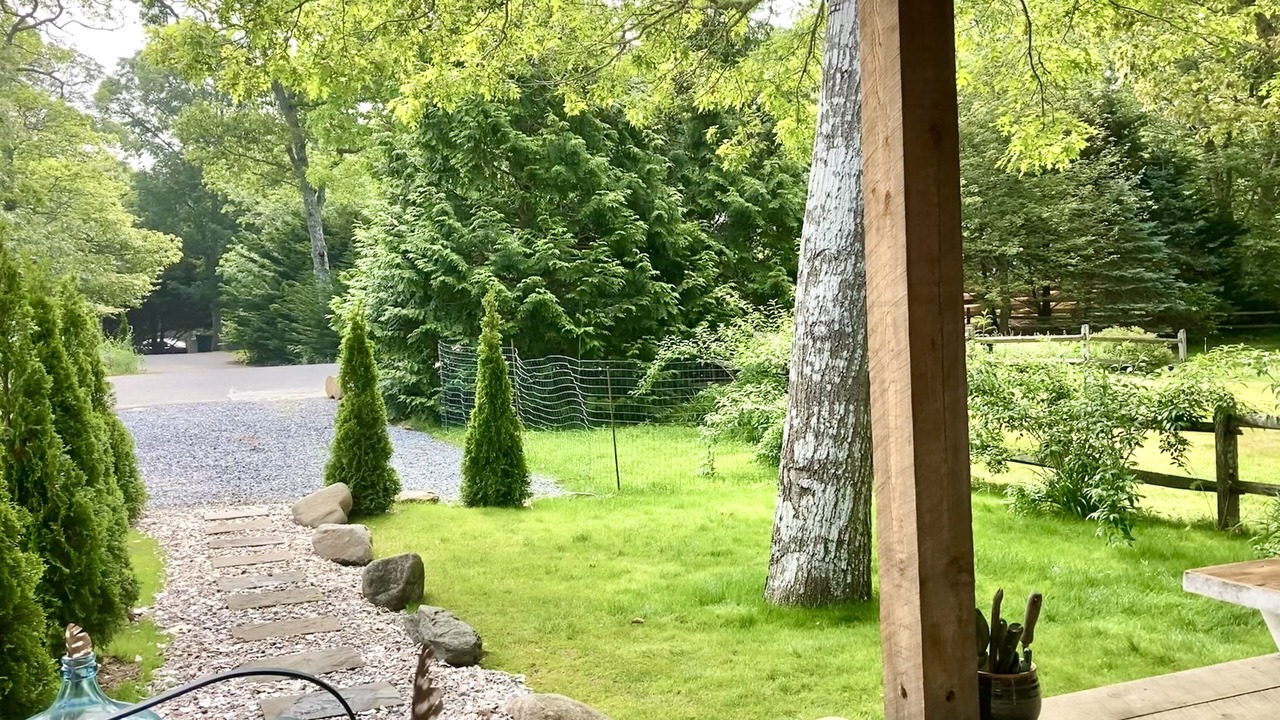 Photo of Outdoor in Tisbury