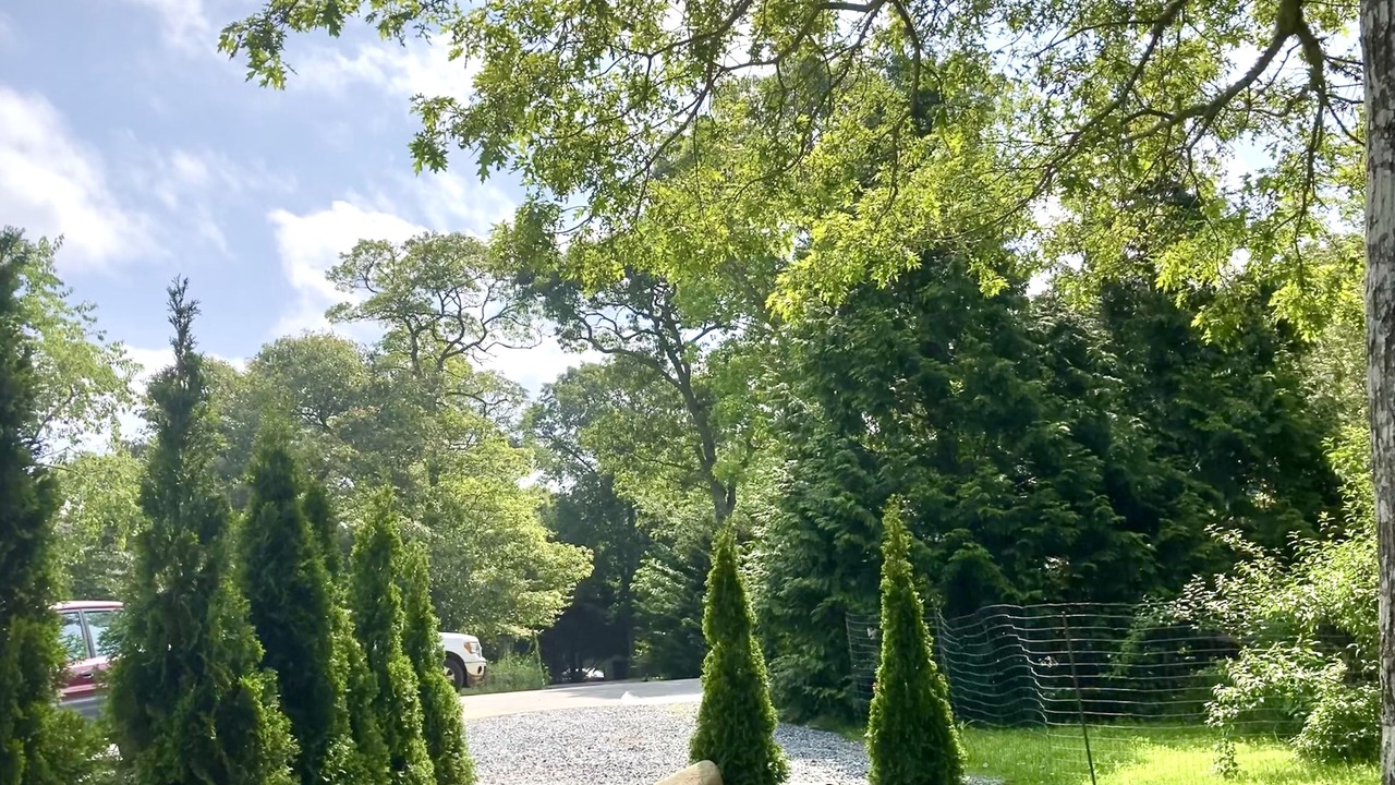 Photo of Outdoor in Tisbury