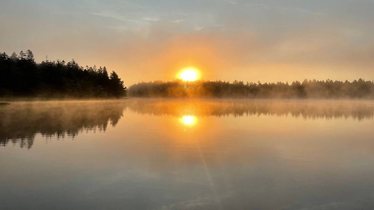 Photo of Others in Clare