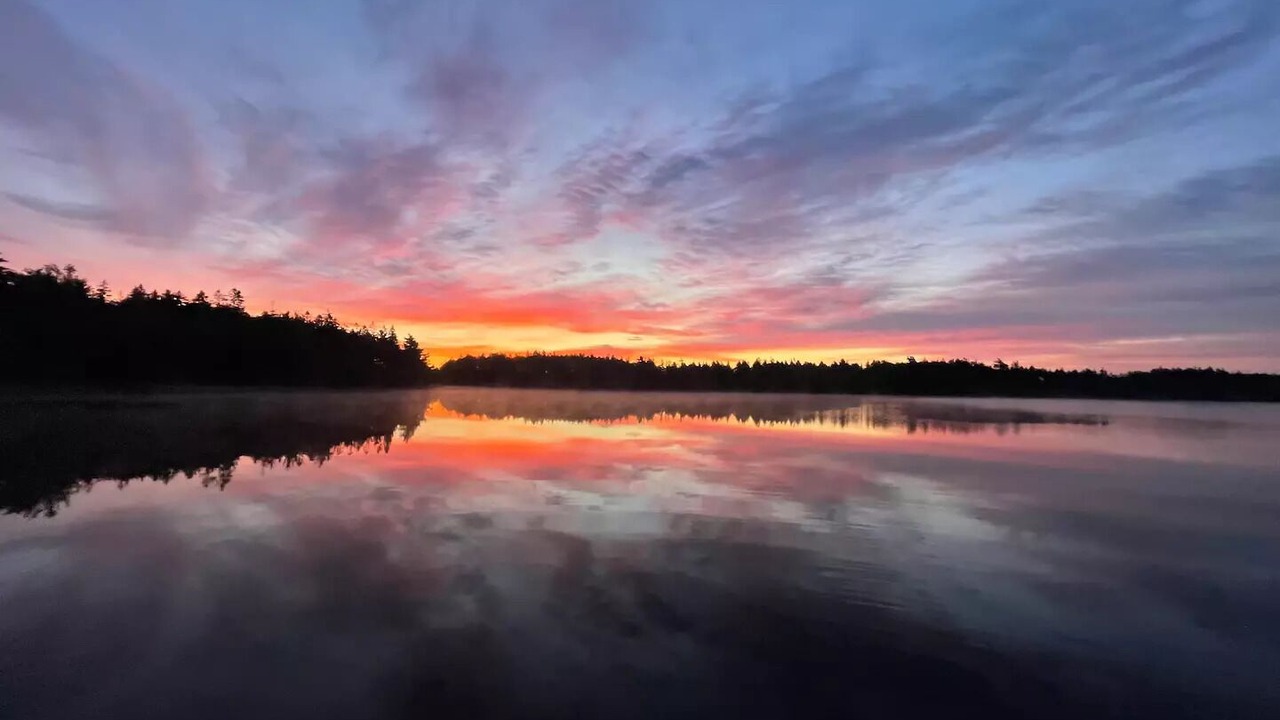 Photo of Others in Clare