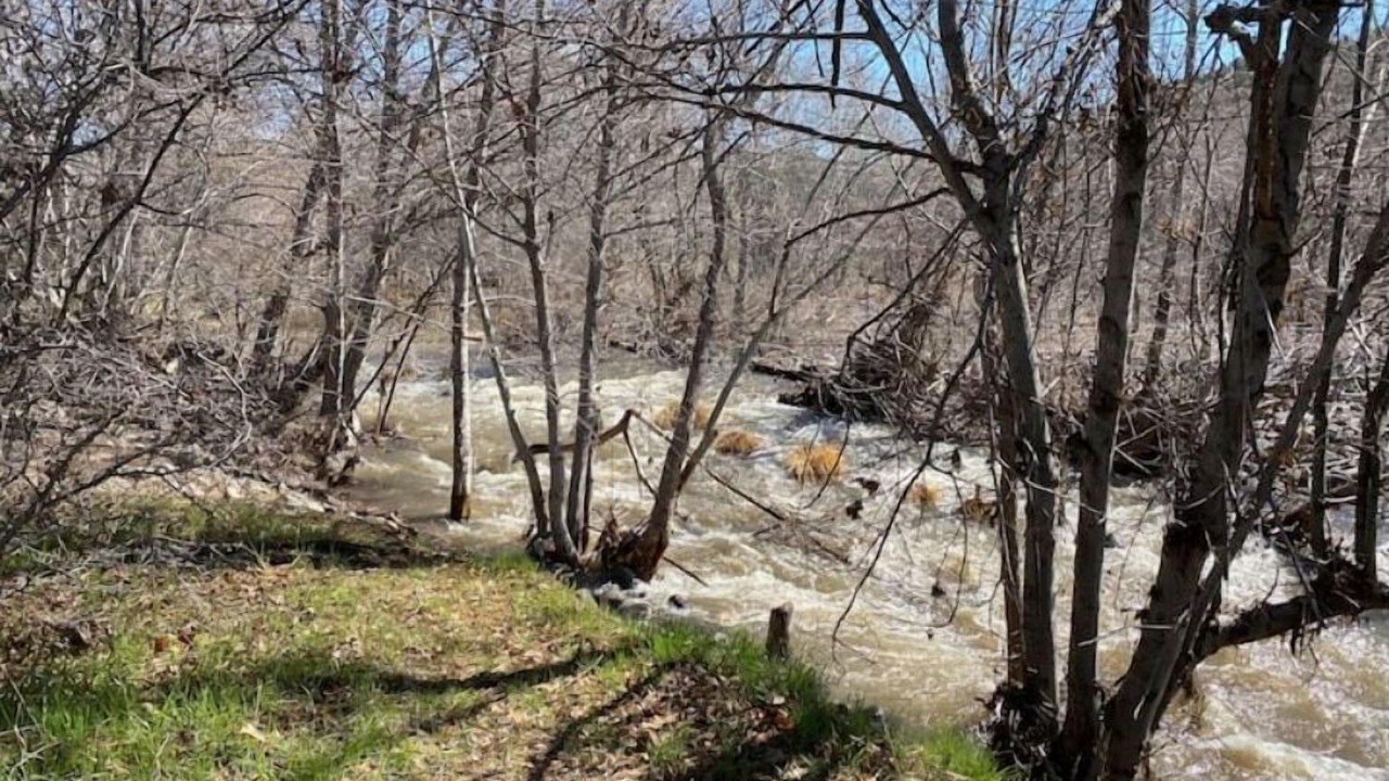 Photo of Others in Camp Verde