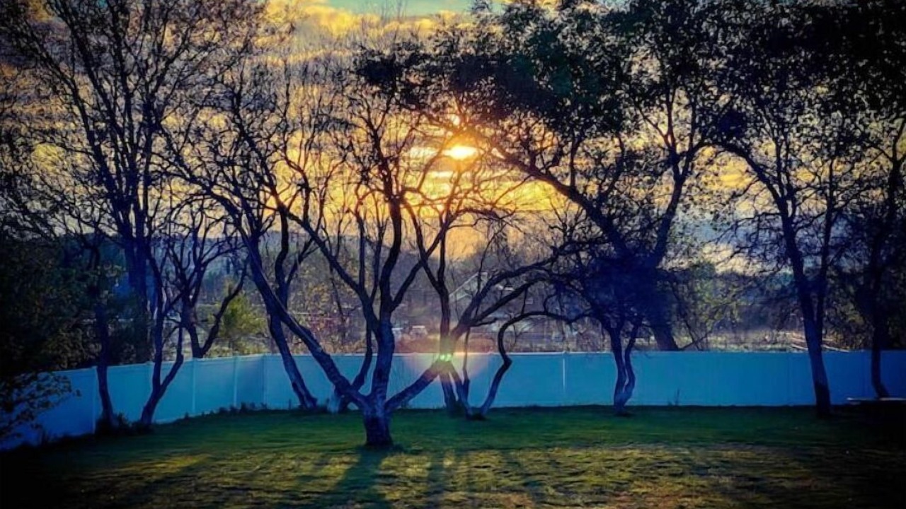 Photo of Outdoor in Camp Verde