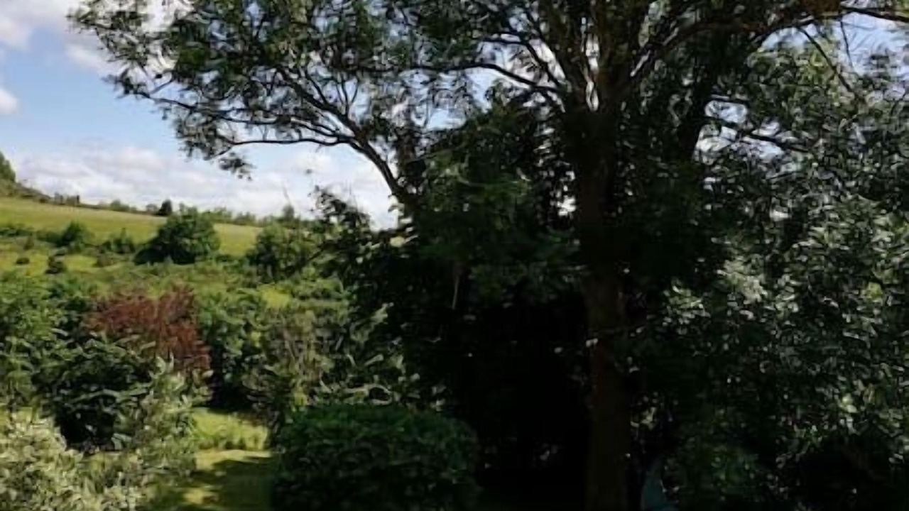 Photo of Outdoor in Cazals-des-Bayles