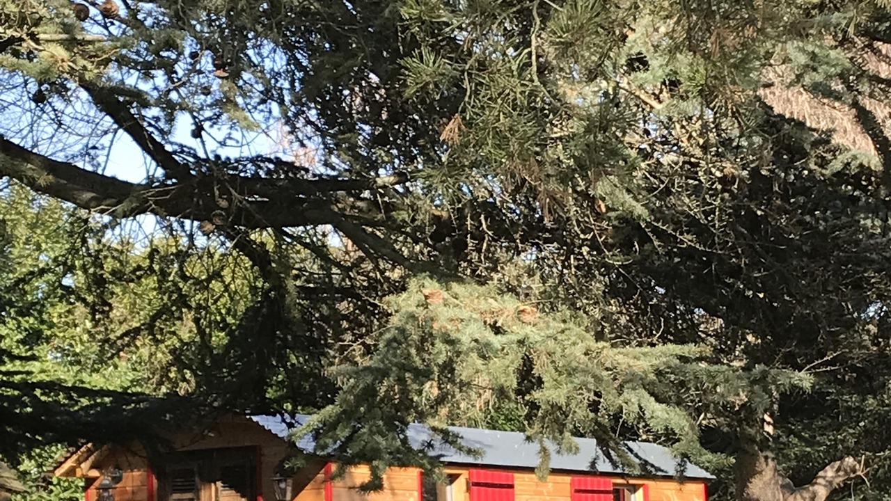 Photo of Outdoor in Villeneuve-sur-Lot
