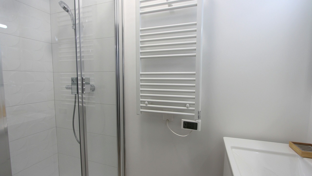 Photo of Bathroom in Serris