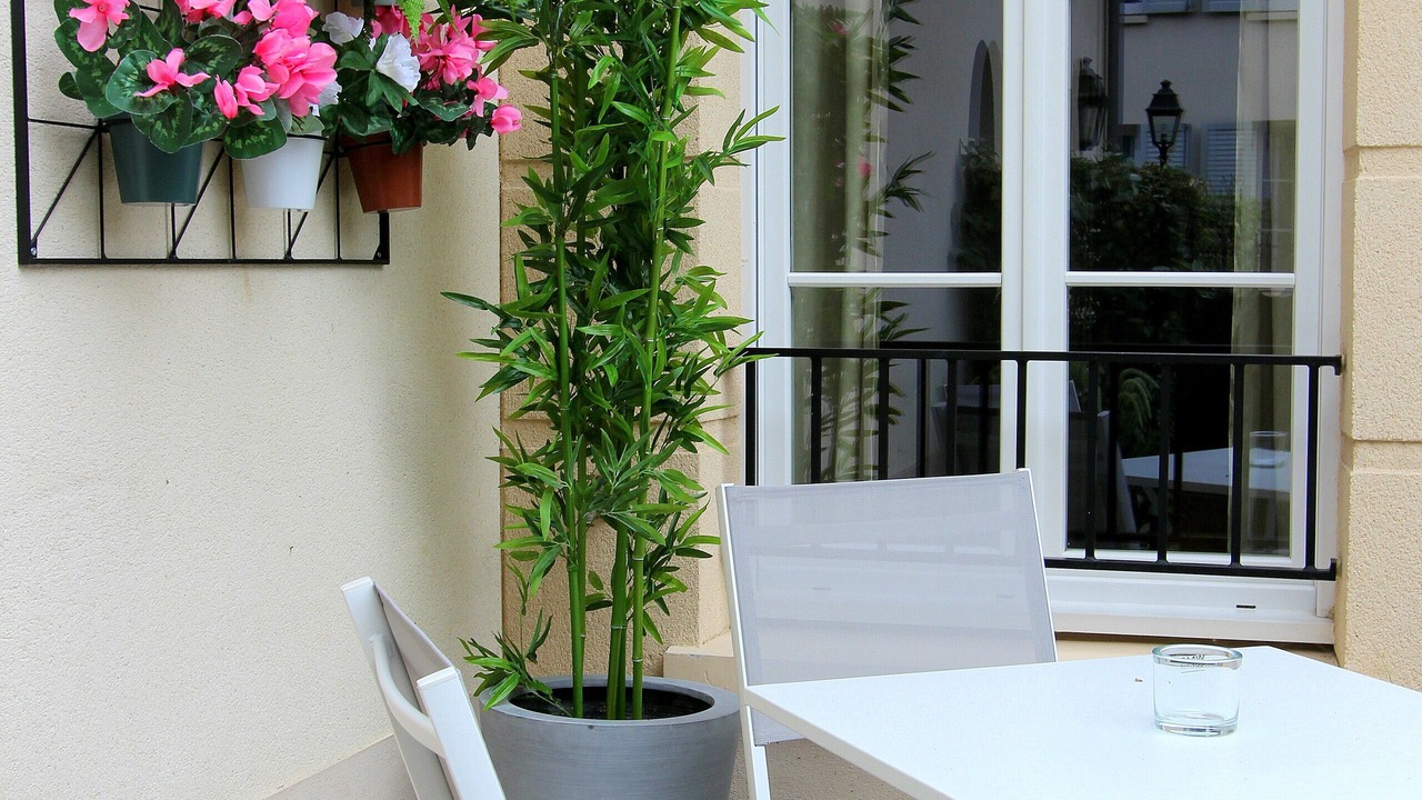 Photo of Outdoor in Serris