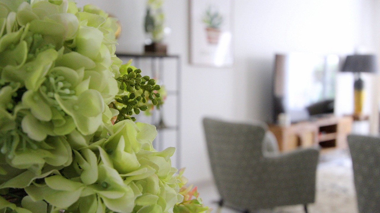 Photo of Others in Serris