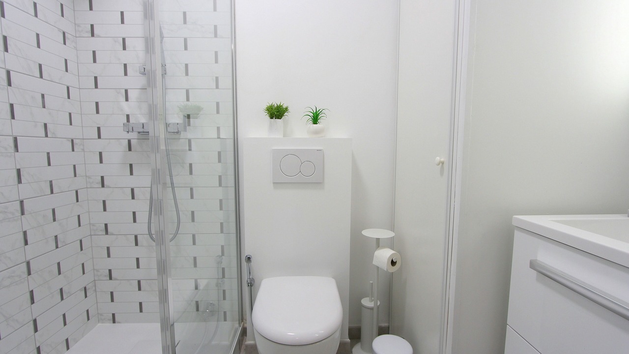 Photo of Bathroom in Serris