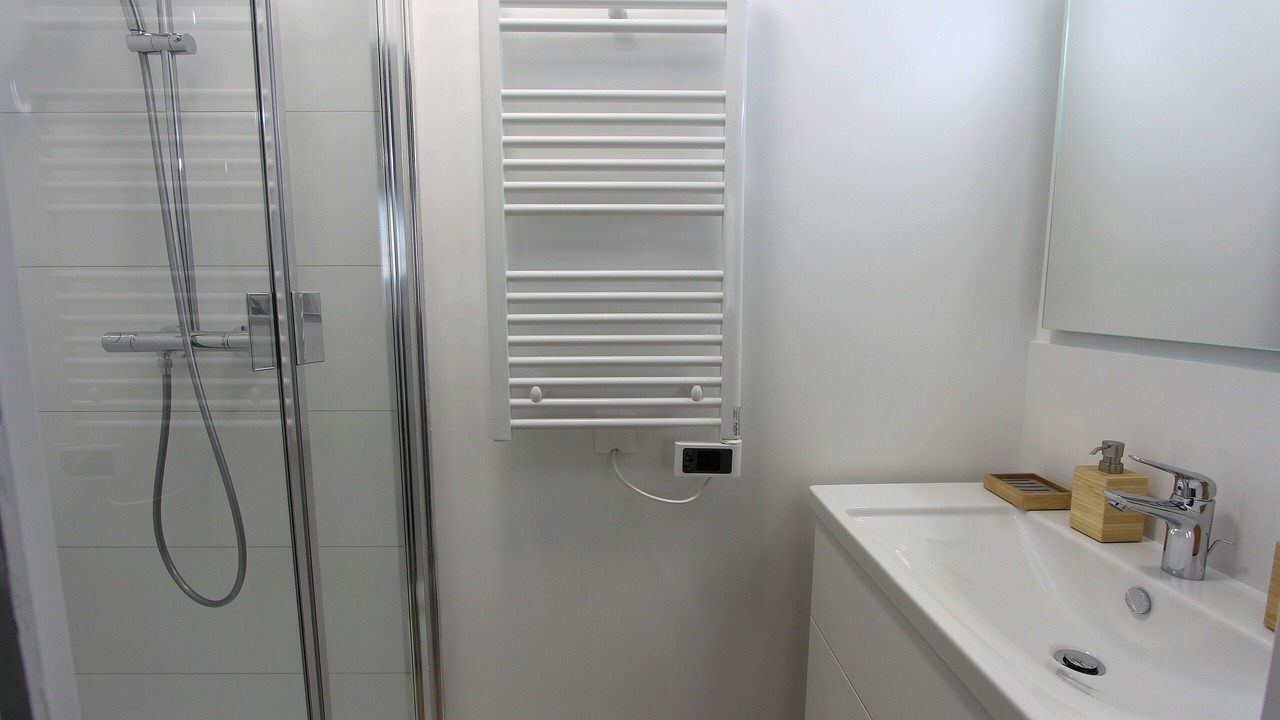 Photo of Bathroom in Serris