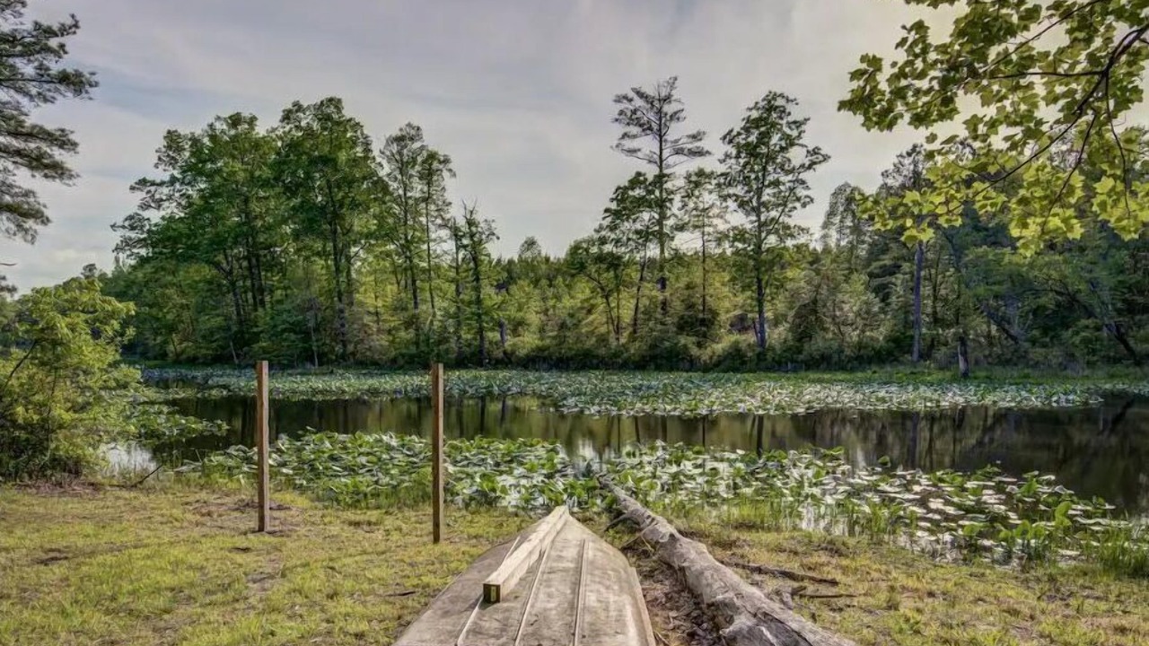 Photo of Outdoor in Caret
