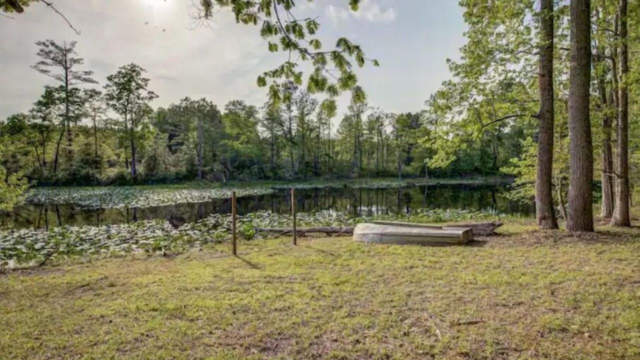 Photo of Outdoor in Caret