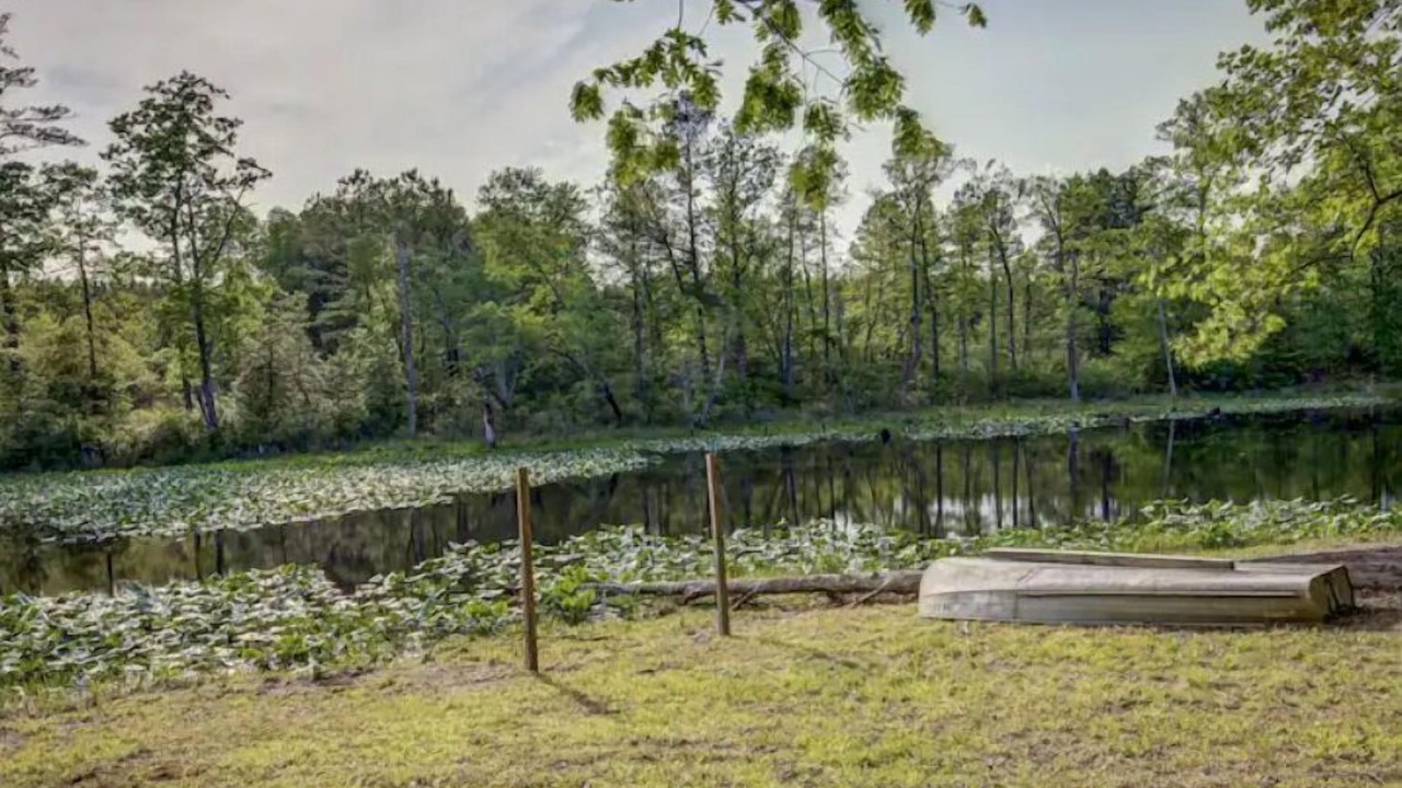 Photo of Outdoor in Caret