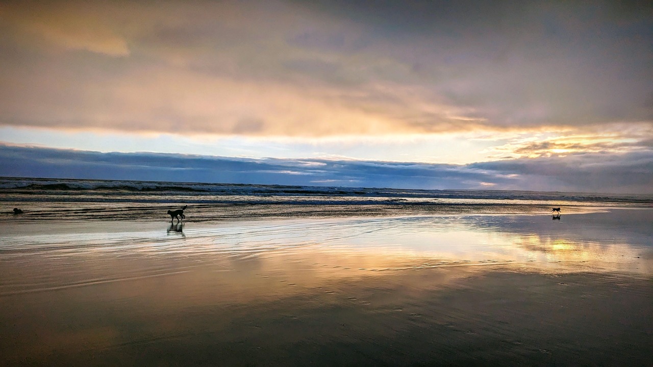 Photo of Others in Venus Bay