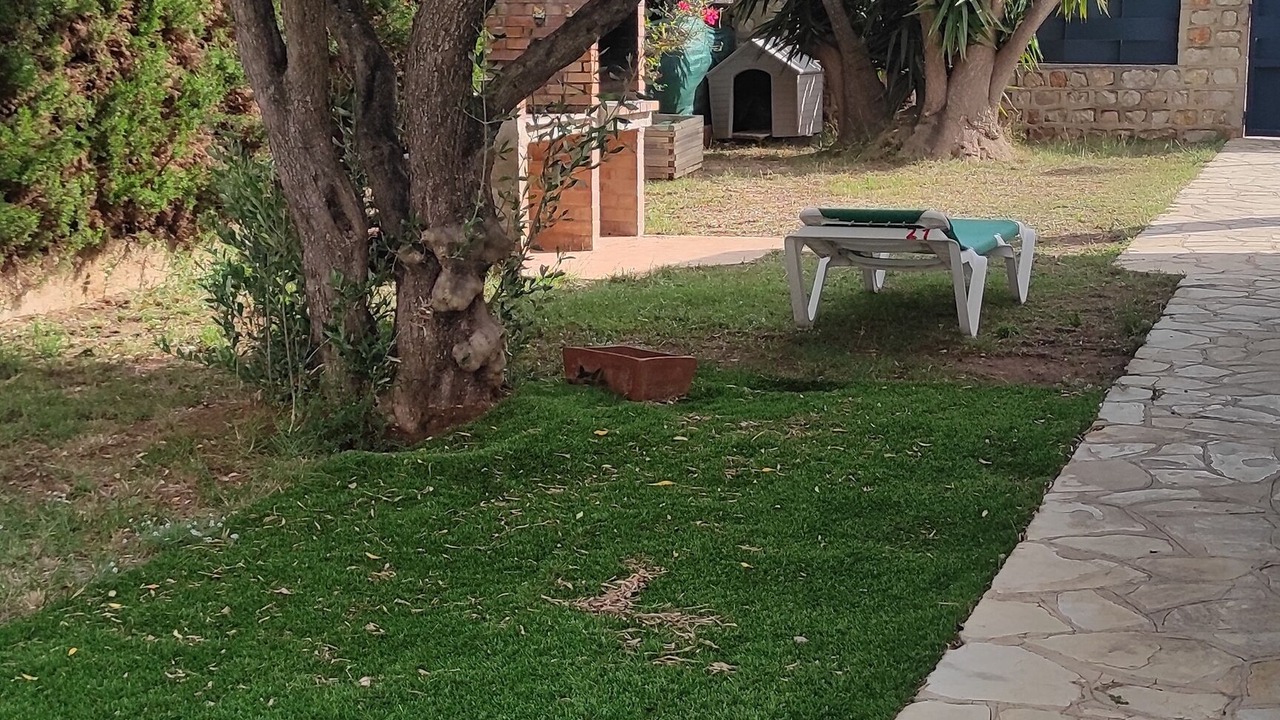 Photo of Patio Balcony in Calafat