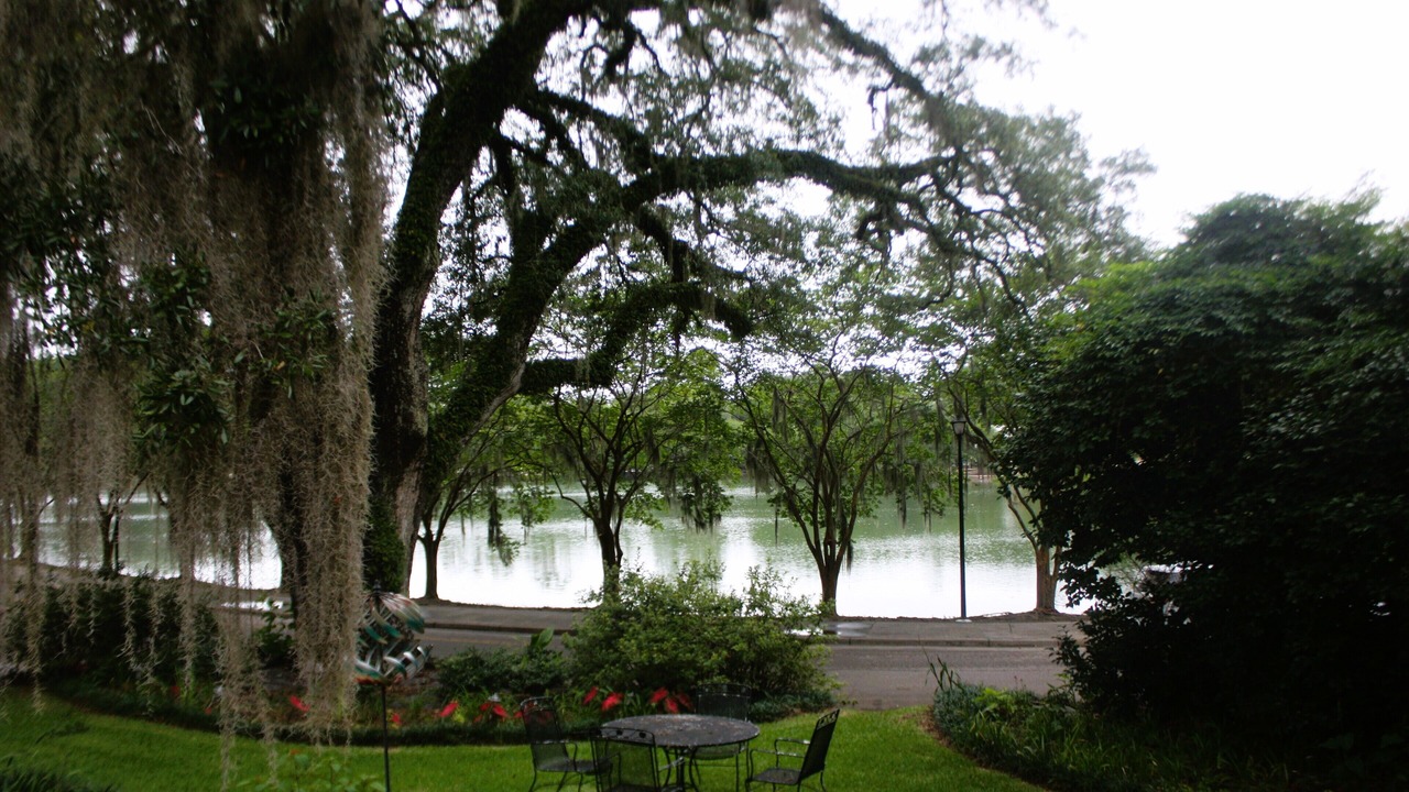 Photo of Outdoor in Tallahassee