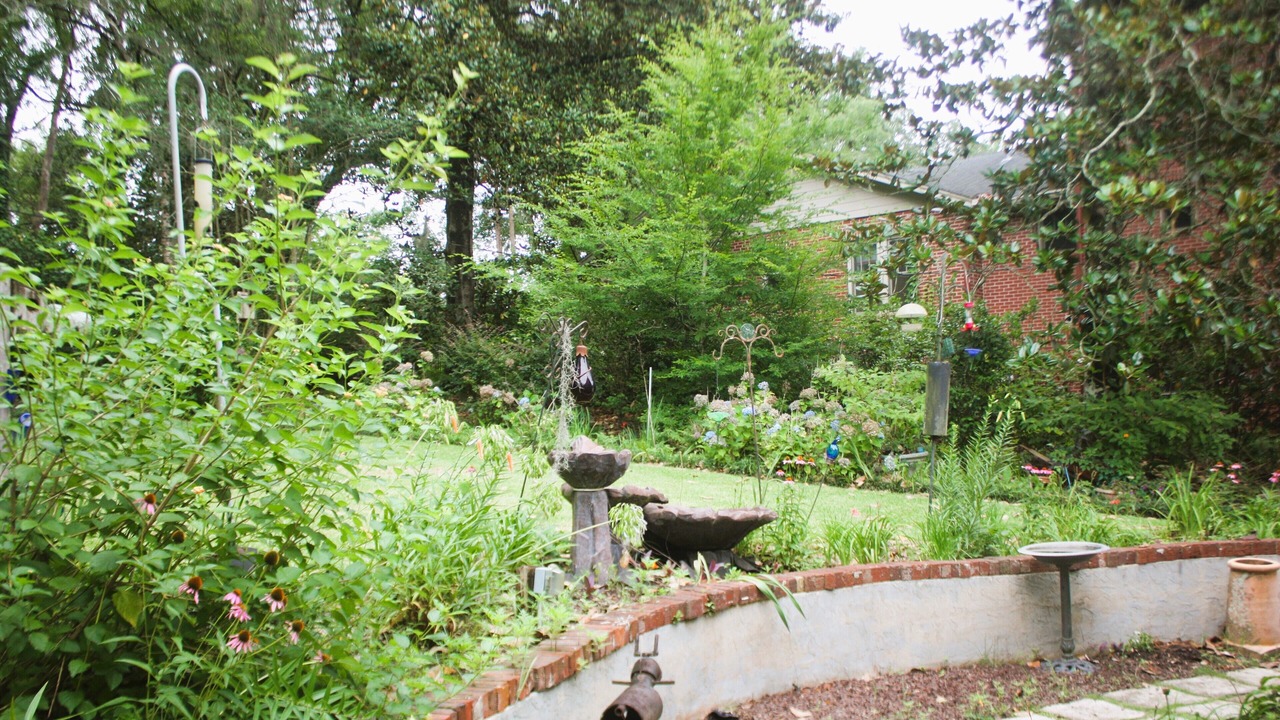 Photo of Outdoor in Tallahassee