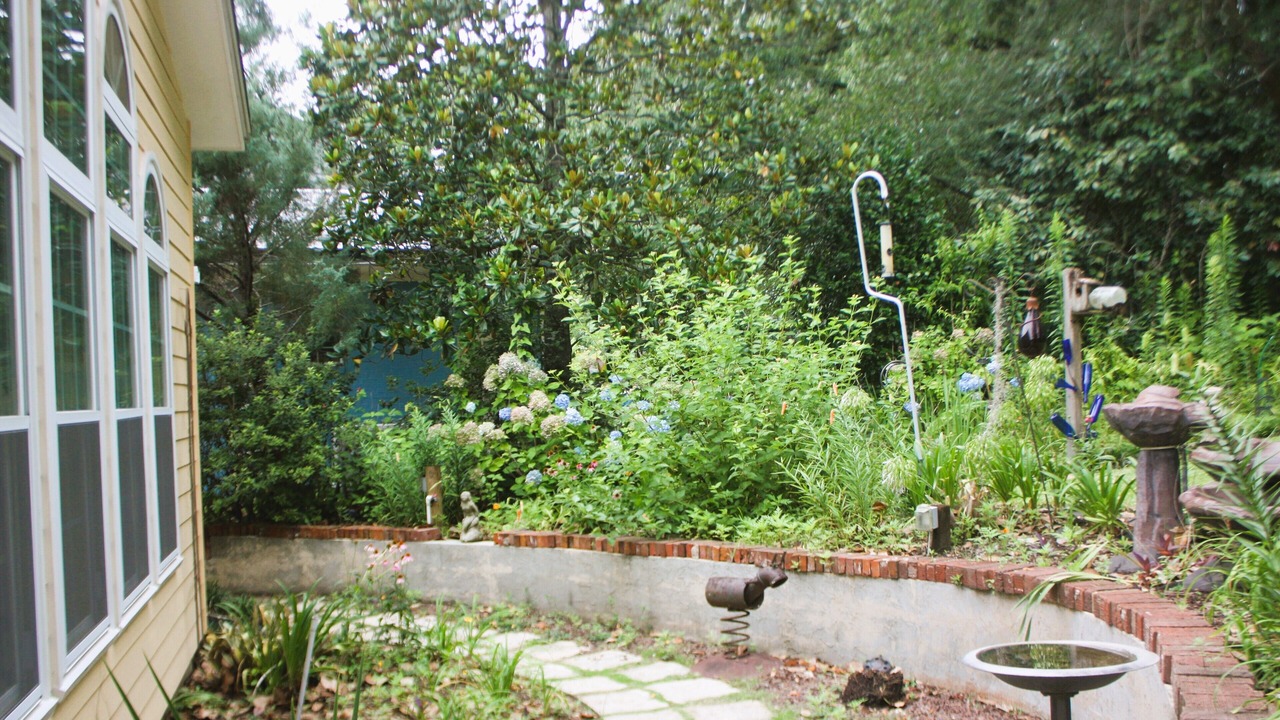 Photo of Outdoor in Tallahassee