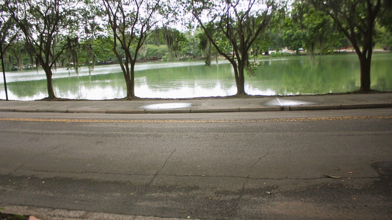 Photo of Outdoor in Tallahassee