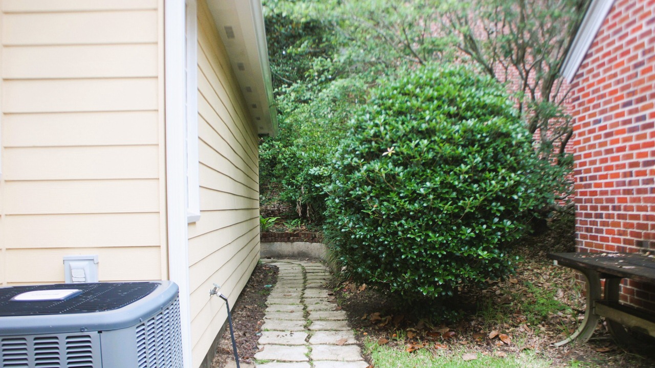 Photo of Outdoor in Tallahassee