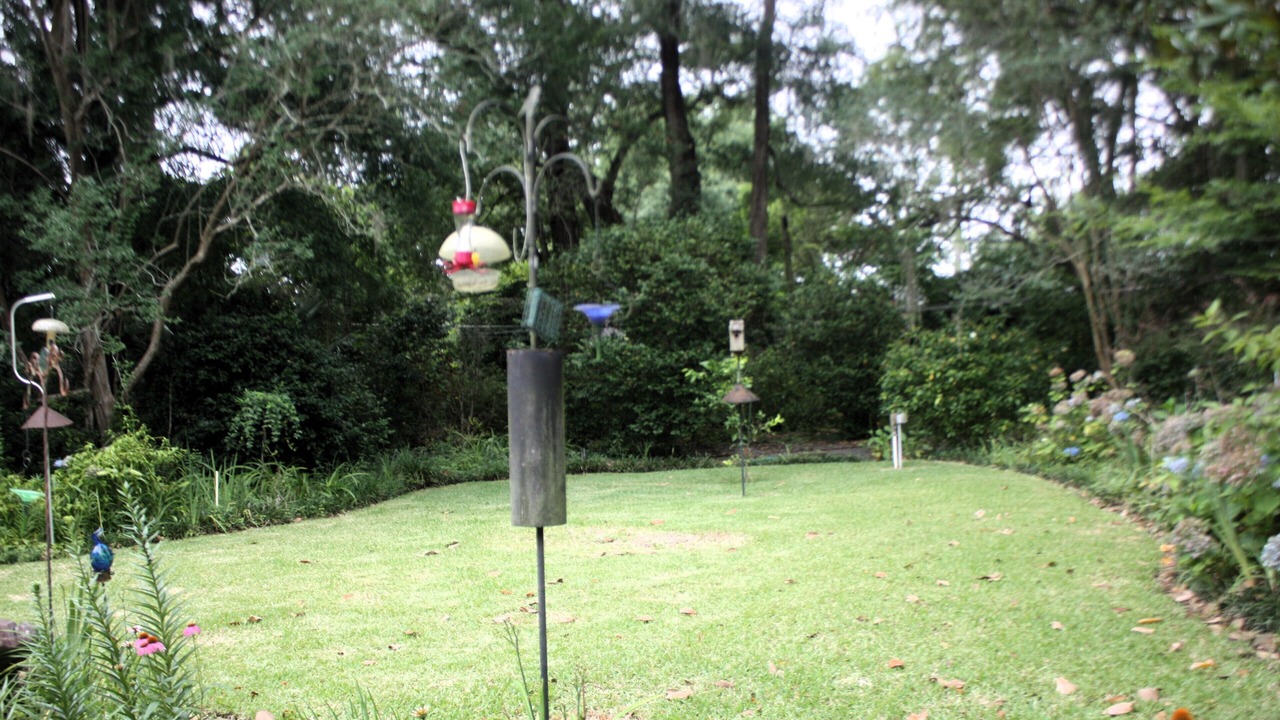 Photo of Outdoor in Tallahassee