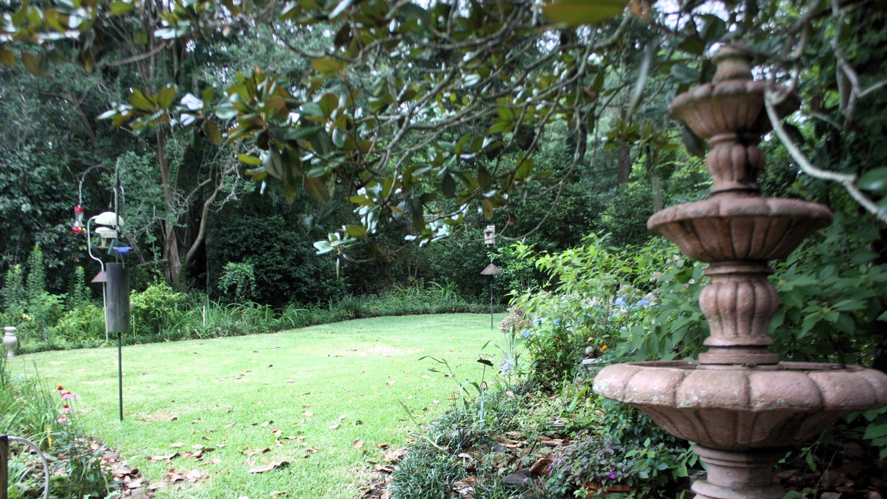 Photo of Outdoor in Tallahassee