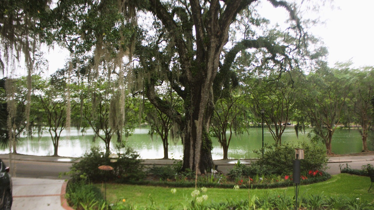 Photo of Outdoor in Tallahassee