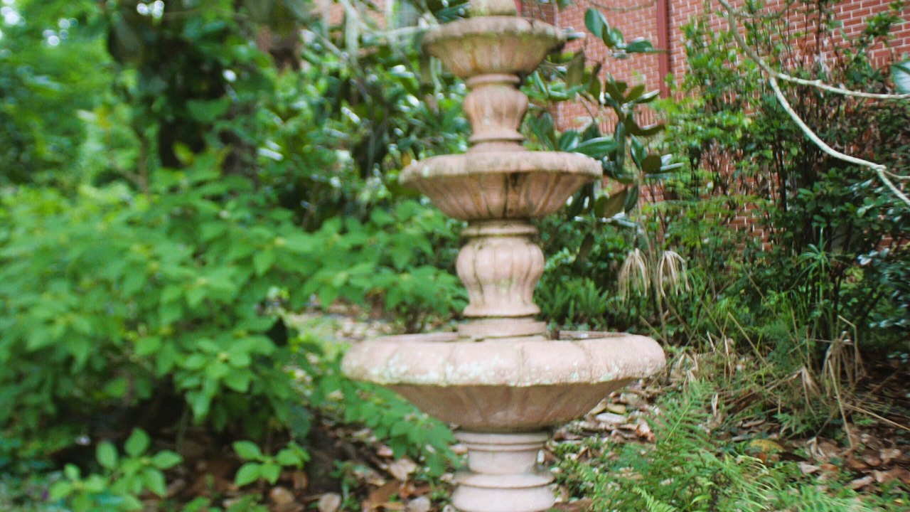 Photo of Outdoor in Tallahassee