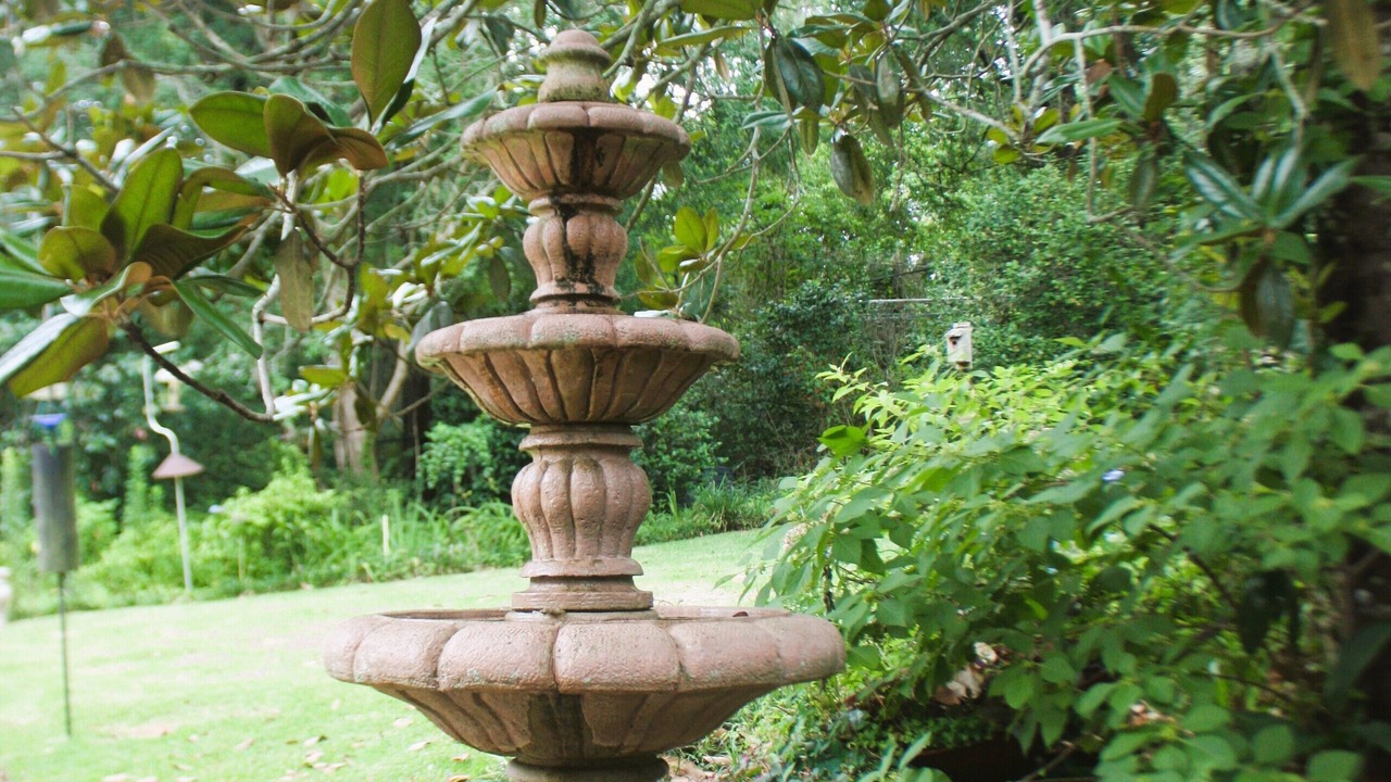 Photo of Outdoor in Tallahassee