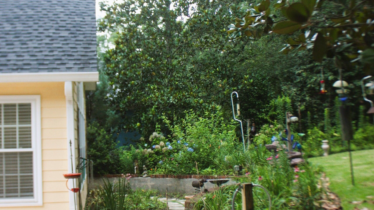 Photo of Outdoor in Tallahassee