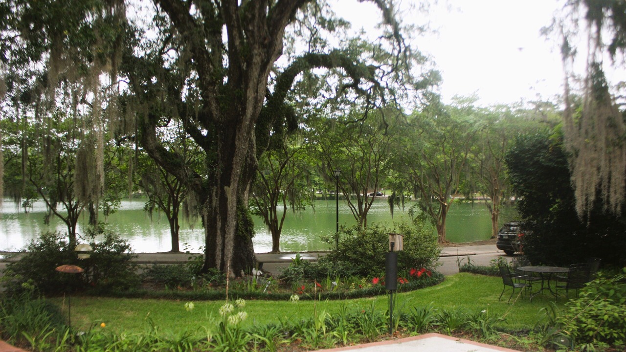 Photo of Outdoor in Tallahassee