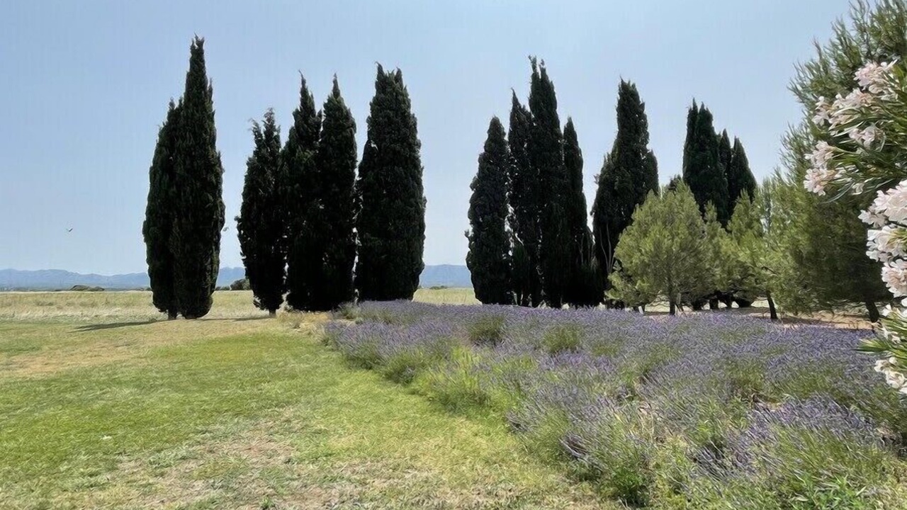 Photo of Outdoor in Eyragues