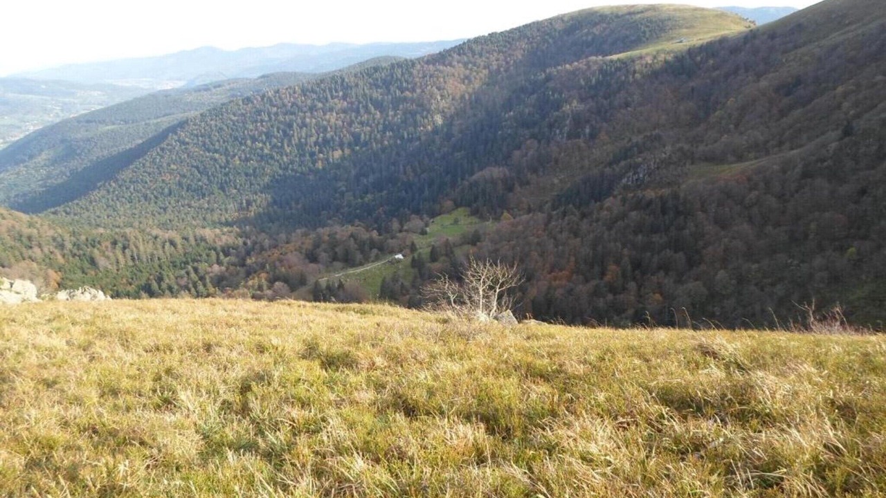 Photo of Others in Herpelmont