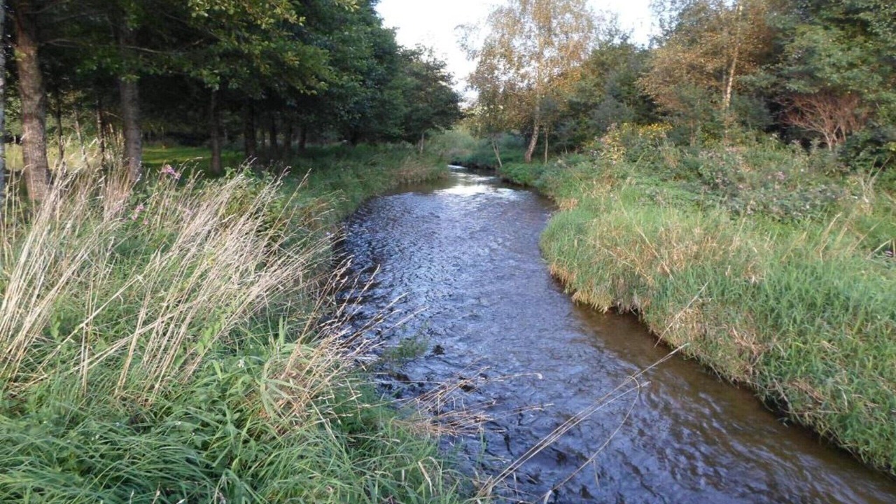 Photo of Others in Herpelmont