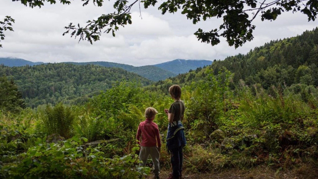 Photo of Others in Herpelmont