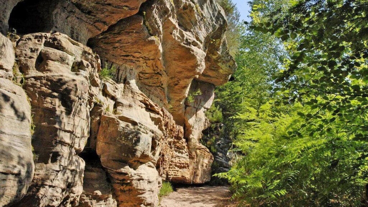 Photo of Others in Herpelmont