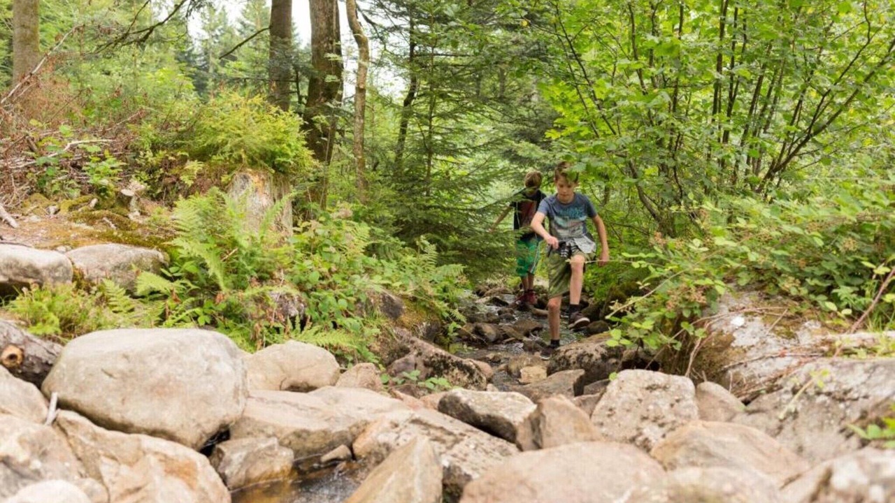 Photo of Others in Herpelmont