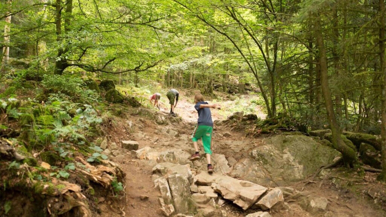 Photo of Others in Herpelmont